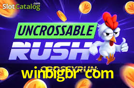 Apostas esportivas da winbigbr com com odds competitivas